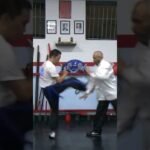 tai chi chuan