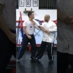 tai chi chuan