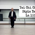 tai chi chuan