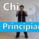 tai chi chuan