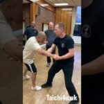 tai chi chuan