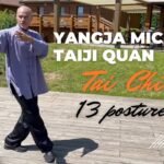 tai chi chuan