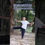 tai chi chuan