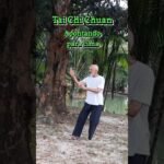 tai chi chuan