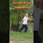 tai chi chuan