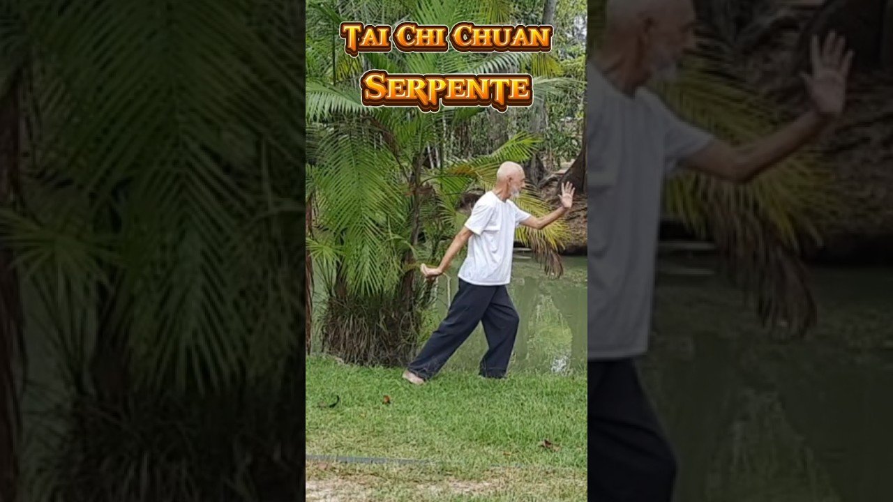 tai chi chuan