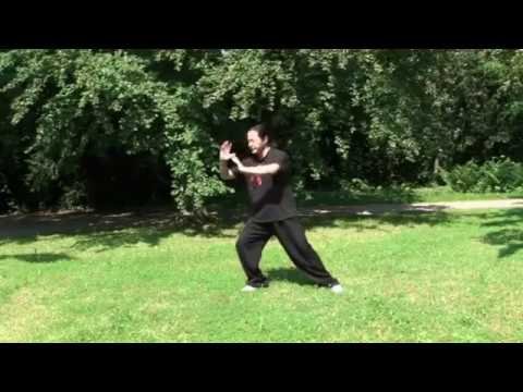 tai chi chuan