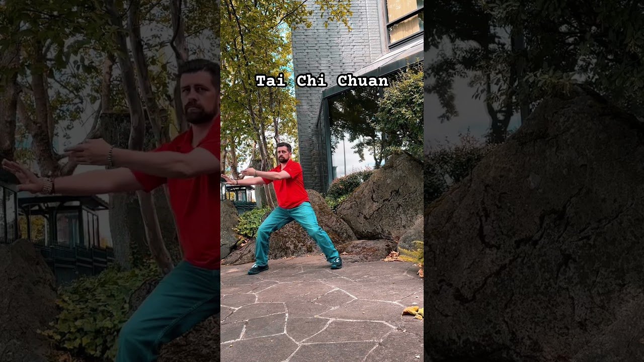 tai chi chuan