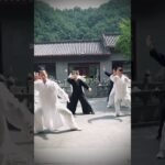 tai chi chuan