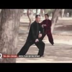 tai chi chuan