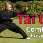 tai chi chuan