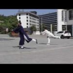 tai chi sword