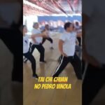 tai chi chuan