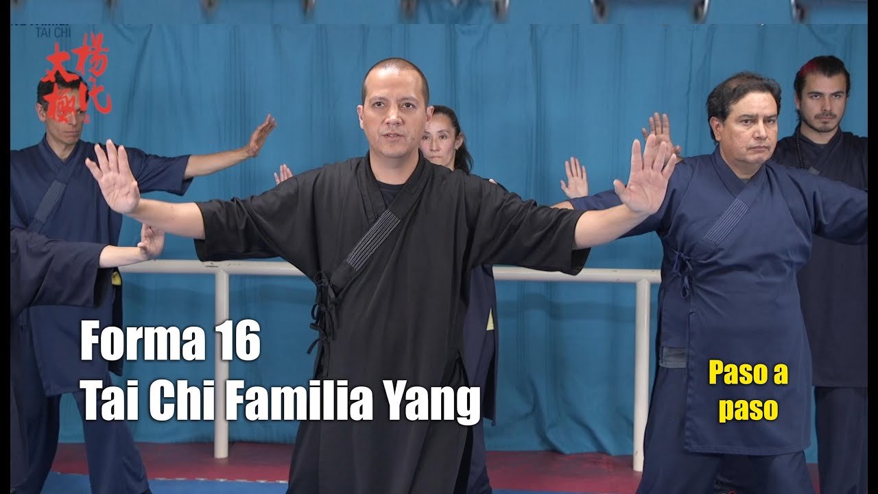 tai chi chuan