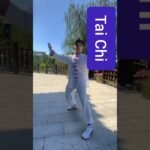 tai chi chuan