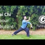 tai chi chuan