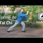 tai chi chuan