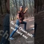 tai chi chuan