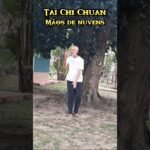 tai chi chuan