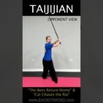 tai chi sword