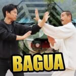 baguazhang dao