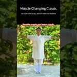 tai chi chuan