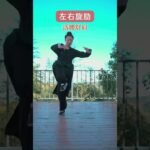 tai chi chuan