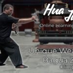 baguazhang deer horn