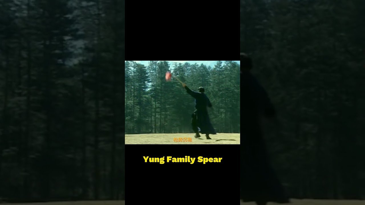 baguazhang spear