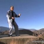 tai chi chuan