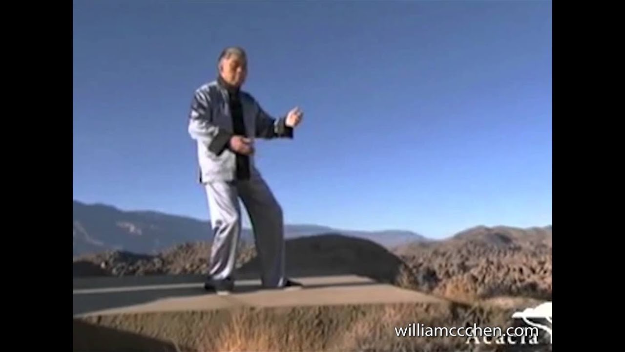 tai chi chuan