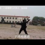 baguazhang spear