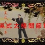 tai chi chuan