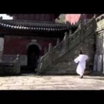 baguazhang dao