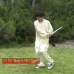 tai chi sword