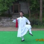 tai chi sword