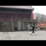 baguazhang spear