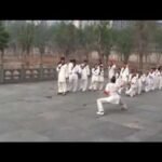 baguazhang spear