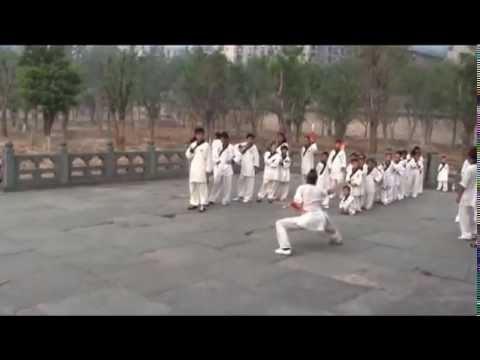 baguazhang spear