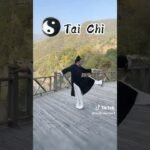 tai chi sword