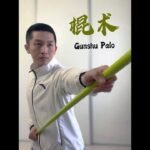 baguazhang staff