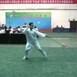 baguazhang spear