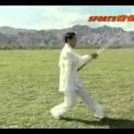 baguazhang spear