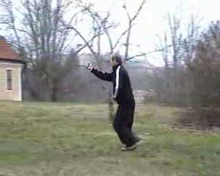 baguazhang staff