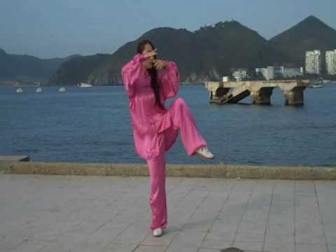 tai chi chuan