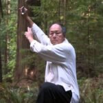 tai chi sword