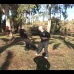 baguazhang dao