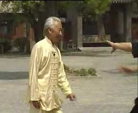 baguazhang spear