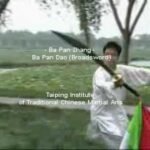 baguazhang spear