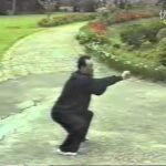 baguazhang spear